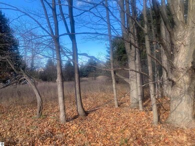 000 E Hammond Rd, Traverse City, MI 49686 - photo 5