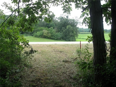 Hwy 136 Peaceful Ct, Potomac, IL 61865 - photo 3