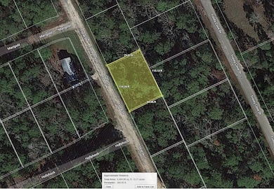 0 Floral Dr unit Trinity TX 75862, Trinity, TX 75862 - photo 6