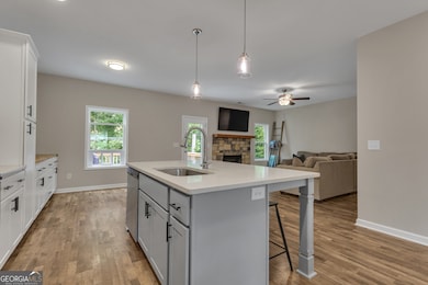 313 Lucy Ln, Carrollton, GA 30117 - photo 7