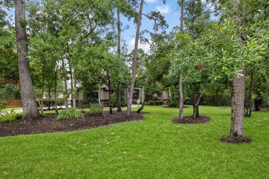Beautiful mature trees giving privacy in your fron