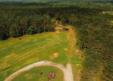 2388 Attala Rd 5238, Ethel, MS 39067 - photo 7