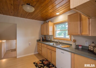 31403 52nd Ave N, Hillsdale, IL 61257 - photo 2