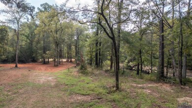 000 S Alley St unit Big Cypress River, Jefferson, TX 75657 - photo 5
