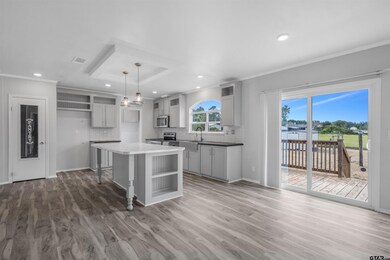 unlisted-address, Alba, TX 75410 - photo 4