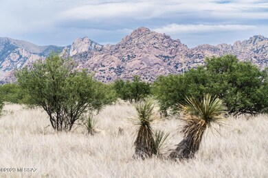 36.33 Acre E Tom Jeffords Dr unit 66, St. David, AZ 85630 - photo 3