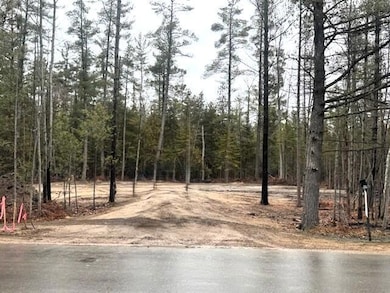 V/L L71-75 Evergreen Dr, Grayling Township, MI 49738 - photo 2