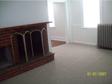 Wood Burning Fireplace