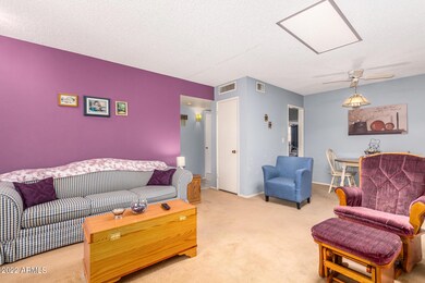 13245 N 110th Ave unit 206, Sun City, AZ 85351 - photo 7