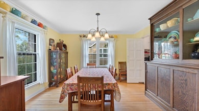 817 Maple St, Alexandria, MN 56308 - photo 7