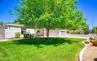 Front Yard
