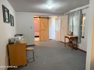 6201 County Highway 165, Genoa, OH 43430 - photo 3