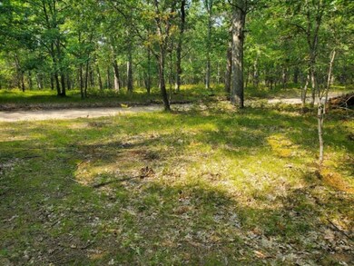 0 N Beaver Trail, Lilley Township, MI 49309 - photo 3