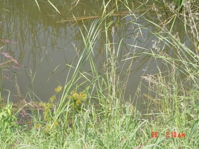 3037 Blueberry Ln, Franklin, TN 37064 - photo 6