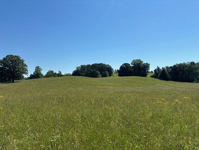 13.16 Ac Coles Chapel Rd, Sparta, TN 38583 - photo 5