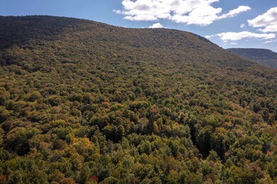 0 Tower Rd unit 28, Dorset, VT 05251 - photo 6