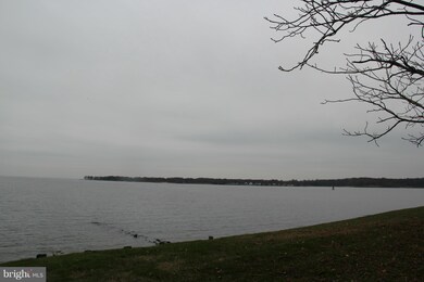 8571 Bay Rd, Pasadena, MD 21122 - photo 6