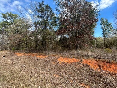 000 Rabbit Run Rd, Baconton, GA 31716 - photo 3