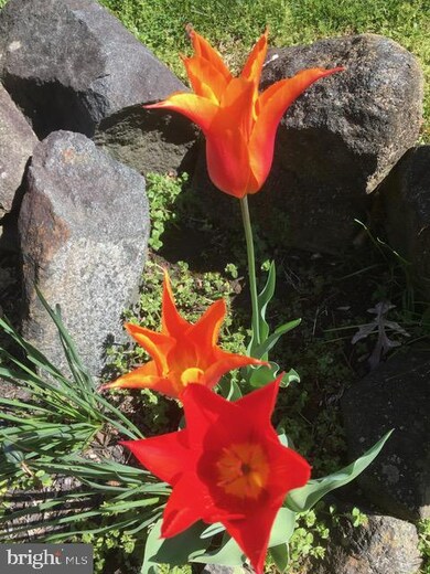 5000 Division St, Gwynn Oak, MD 21207 - photo 3