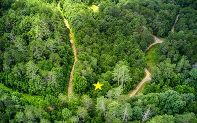 LOT36 Bear Cub Trail, Mineral Bluff, GA 30559 - photo 2