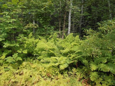 DSCN0001 (1)
