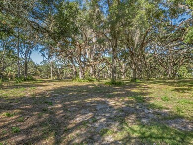 xx Coastal Hwy, Crawfordville, FL 32327 - photo 5