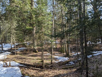 0 Carnegie Woods unit Parcel 2 322988, Naubinway, MI 49762 - photo 2