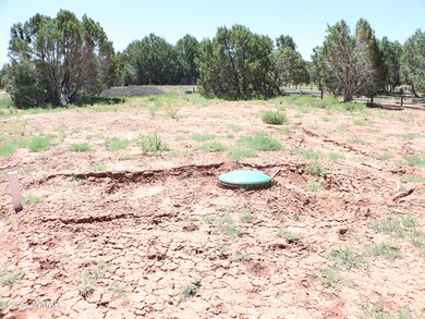 Septic Lid