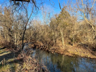 IMG_6196 (Medium)