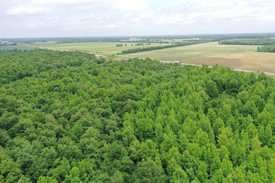 67 County Road 352, Neelyville, MO 63954 - photo 3