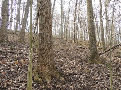 9037 Stage Rd, Logan, OH 43138 - photo 5