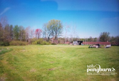 Back Yard.1