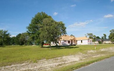 LOT37 Mandiba Dr, Lake City, FL 32024 - photo 2