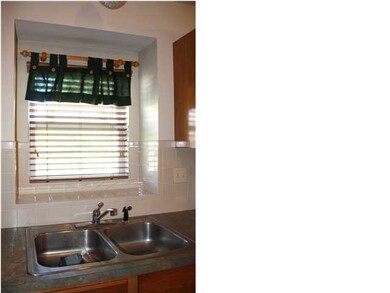 KITCHEN WINDOW OVERLOOKS TREE IN THE BACK YARD