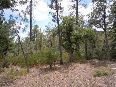 3 Tree Lined Back of Lot