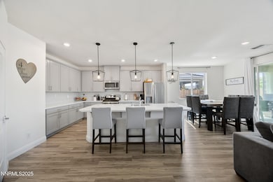 1010 Garden Pond Way, Spanish Springs, NV 89441 - photo 6