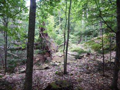 18-8 Currier Hill, Wentworth, NH 03282 - photo 5