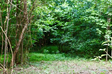 TBD Big Hill Ln, Mount Solon, VA 22843 - photo 4