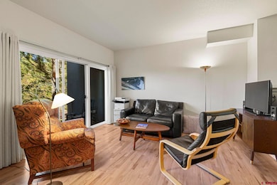 1140 Carbon Jct unit 24, Durango, CO 81301 - photo 3