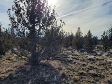Resized_20220114_130639