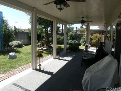 Rear Yard 1