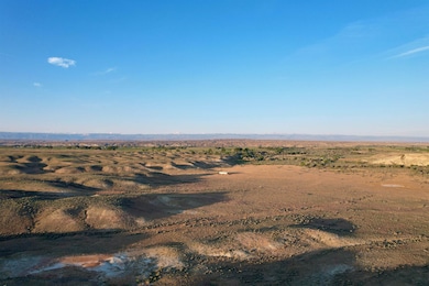 1242 U S 20, Basin, WY 82410 - photo 4