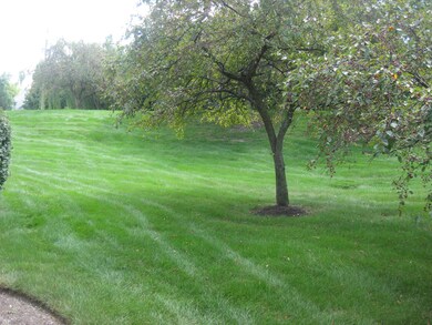 VIEW FROM THE DECK