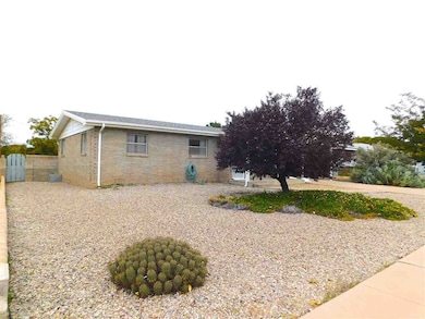 1605 Park Ave, Alamogordo, NM 88310 - photo 3