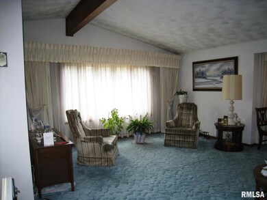 125 27th Ave, Moline, IL 61265 - photo 5