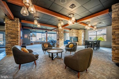 290 Marsh Hill Rd unit 224A, Mc Henry, MD 21541 - photo 6