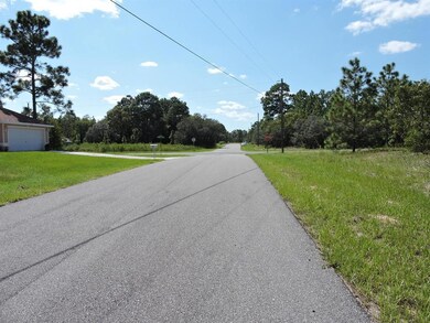 3766 W Galleon St, Citrus Springs, FL 34433 - photo 3