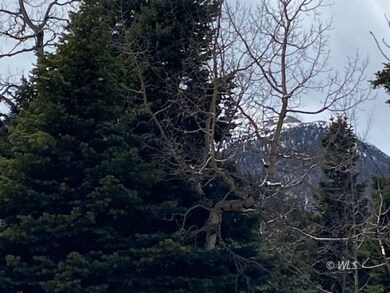 Big Pines