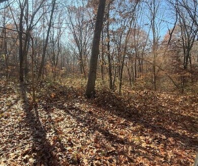 0 NE Mt Olivet Rd unit HMS2588486, Smithville, MO 64089 - photo 7