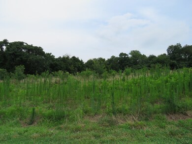 0 Lake Bluff Rd unit RTC2414057, Baxter, TN 38544 - photo 7